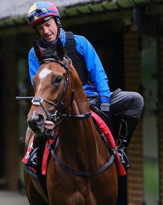 a man riding on the back of a brown horse