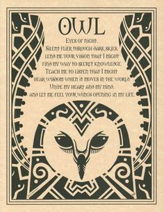 an owl is shown in the middle of a page with words written on it,