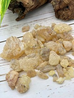 some yellow rocks on a white wooden table next to a green plant and a piece of wood