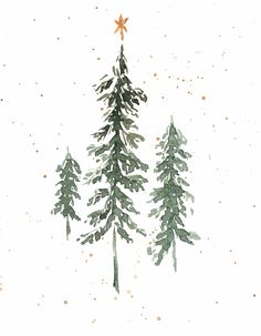 three evergreen trees in the snow with a star hanging from one tree's top