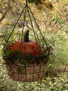 a hanging basket filled with pumpkins in the middle of some bushes and plants,