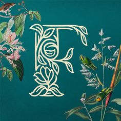 the letter f is surrounded by flowers and birds