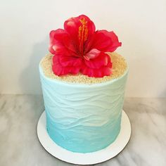 a cake with blue icing and a red flower on top is sitting on a white plate