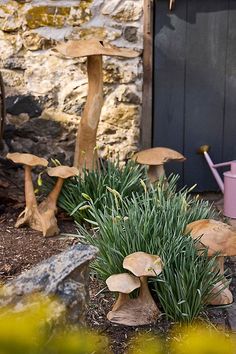 mushrooms growing out of the ground in front of a stone wall and potted plant