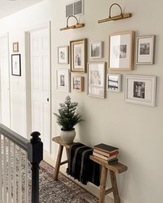 a hallway with pictures on the wall and a plant in a pot next to it