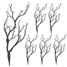 four branches with no leaves on them are shown in black and white, against a white background