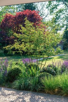 the garden is full of colorful flowers and trees