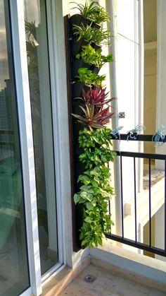 a balcony with plants growing on the wall