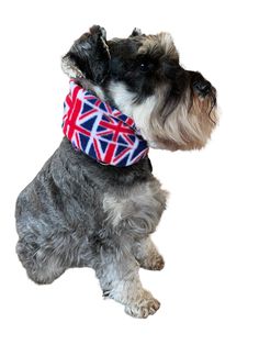 a dog wearing a bandana with the british flag on it's collar and neck