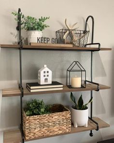 some shelves with plants and books on them