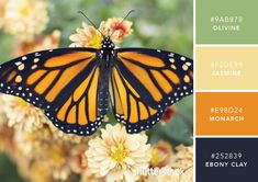 a butterfly sitting on top of a flower next to some yellow and green colors in the background