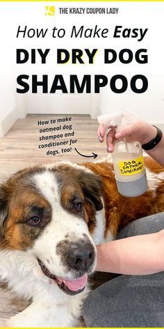 a dog is being groomed by a woman with the words how to make easy diy dry dog shampoo