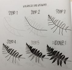 the steps to drawing leaves are shown in black and white