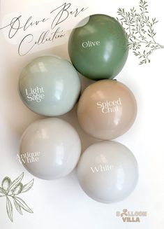 four different colored balloons with the names of each one on them and an olive tree in the background