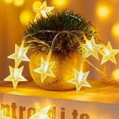 a potted plant sitting on top of a table next to some lights and a sign