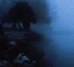 two trees in the middle of a foggy field with water and grass around them