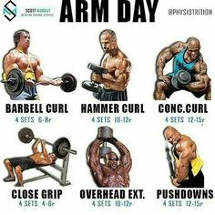 an image of the arm day workout routine for beginners to gain muscle muscles and build bigger arms