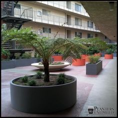 an outdoor courtyard with planters and potted trees in the foreground, surrounded by apartment balconies