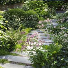 a garden with lots of plants and flowers