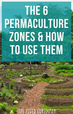 the 6 permaculture zones and how to use them