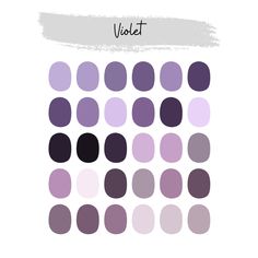 the color scheme for violet is shown in different shades