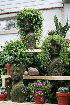 some plants and statues are on display in the garden