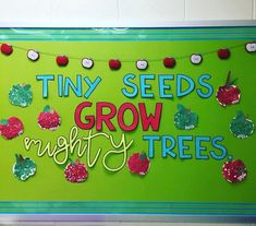 a bulletin board that says tiny seeds grow mighty trees with apples and leaves on it