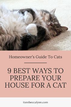 a cat sleeping on the floor with text overlay that reads 9 best ways to prepare your house for a cat