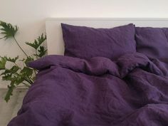 an unmade bed with purple linens and a plant on the floor next to it