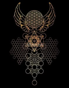 the sacred symbols and their meaningss are arranged in an intricate pattern on a black background