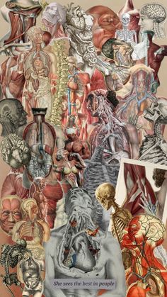 a collage of many different types of human body parts