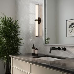 a bathroom with a sink and mirror next to a potted plant