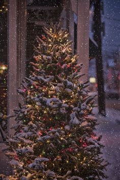 Wallpaper Christmas - With new amazing products releasing everyday, visit to find what you have been looking for. DO IT IMMEDIATELY! Christmas Scenery, Xmas Wallpaper, Christmas Collage, Söt Katt, Cute Christmas Wallpaper, Christmas Phone Wallpaper, Christmas Wallpapers