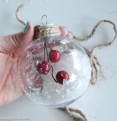 a hand holding a glass ornament with cherries in it