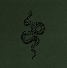 a drawing of a snake on a green background