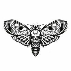 a black and white drawing of a moth with intricate details on it's wings