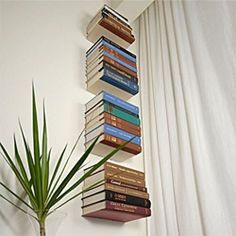 a plant is next to a stack of books on a wall hanging from the ceiling