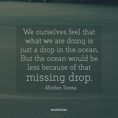 we ourselves feel that what we are doing is just a drop in the ocean but the ocean would be less because of that missing drop