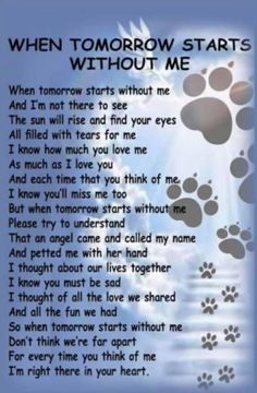 a poem written in the shape of paw prints