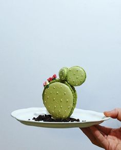 a person holding a plate with a small green cactus on it and flowers in the middle