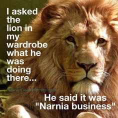 a lion sitting on top of a grass covered field next to a quote from the book