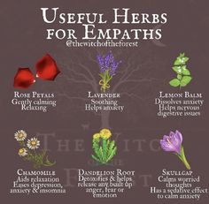 the useful herbs for empaths are shown in this graphic above it's description