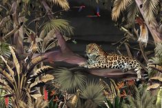 a painting of a leopard resting on a tree branch surrounded by tropical plants and birds