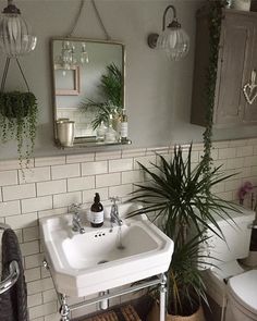 a white sink sitting under a mirror next to a potted plant in a bathroom