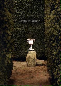 a trophy sitting on top of a rock surrounded by bushes