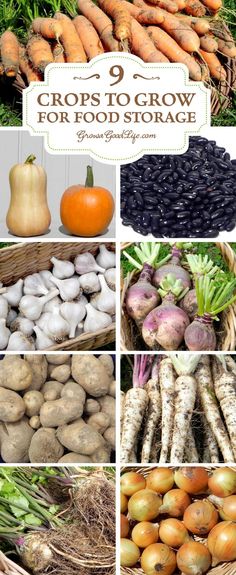 several different types of vegetables are shown in this collage, including carrots and squash