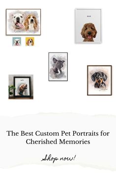 the best custom pet portraits for cherished memories