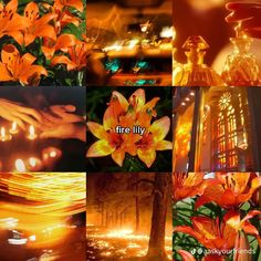 there are many different pictures with words on them that describe fire lilys and what they mean to be