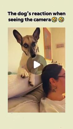 a woman laying in bed next to a dog on top of a pillow with the caption, the dog's reaction when seeing the camera