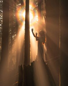 a woman standing in the middle of a forest with sun shining through the trees behind her